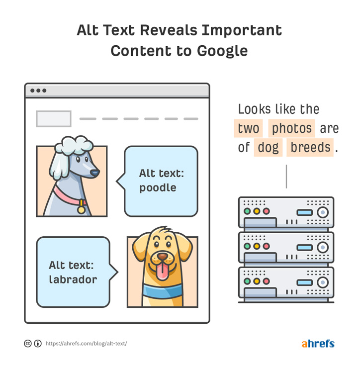 The importance of alt-text